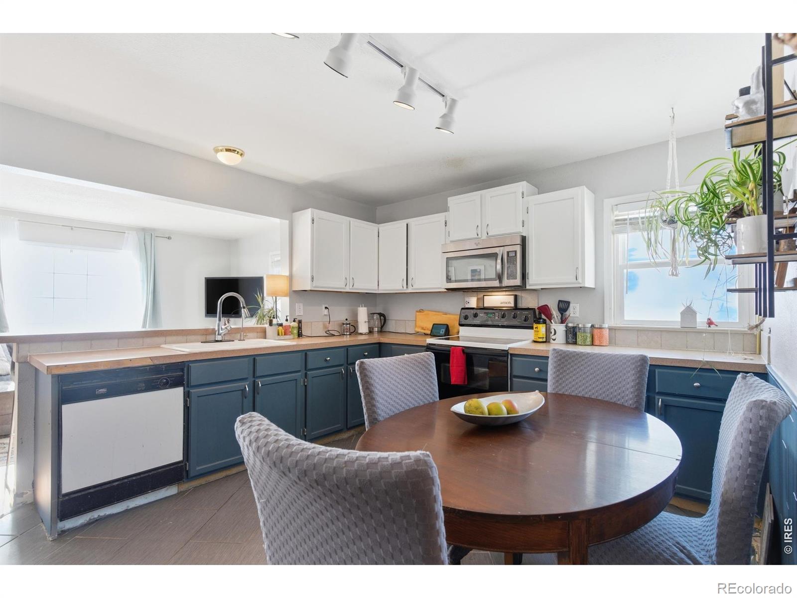 MLS Image #8 for 2431  mountain view drive,loveland, Colorado