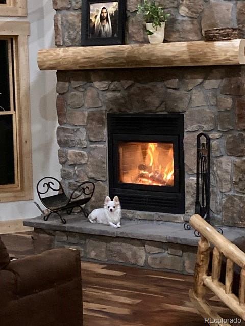 MLS Image #16 for 702  bellows road,hartsel, Colorado