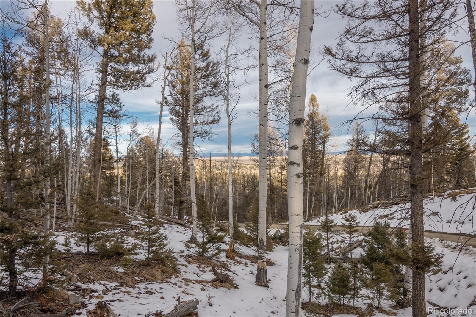 MLS Image #42 for 702  bellows road,hartsel, Colorado