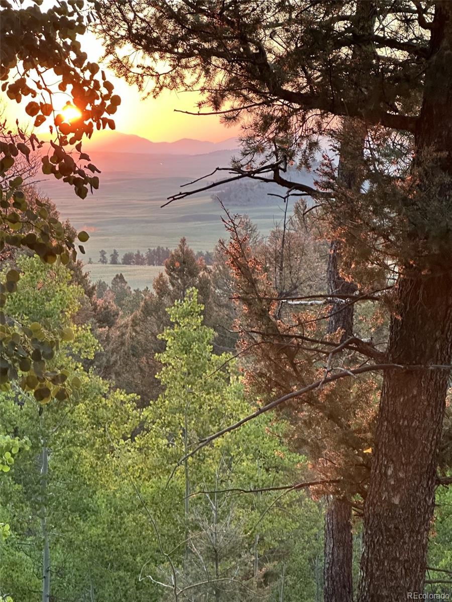 MLS Image #43 for 702  bellows road,hartsel, Colorado