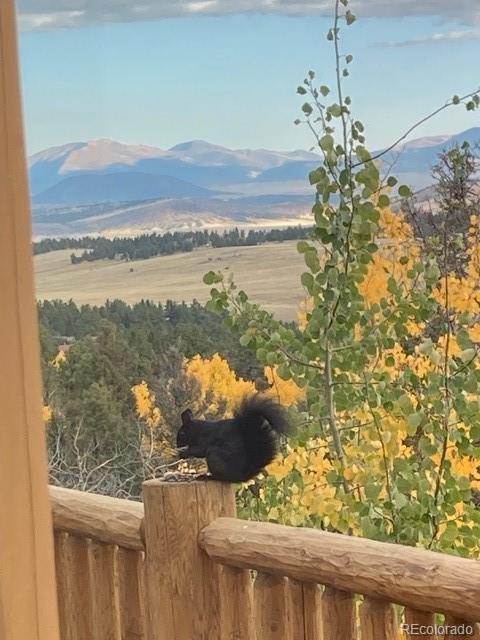 MLS Image #44 for 702  bellows road,hartsel, Colorado