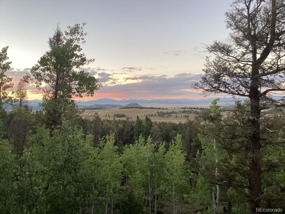 MLS Image #45 for 702  bellows road,hartsel, Colorado