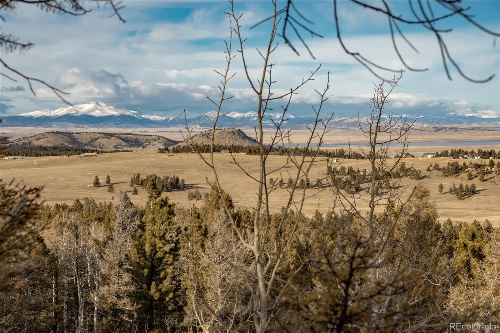 MLS Image #8 for 702  bellows road,hartsel, Colorado