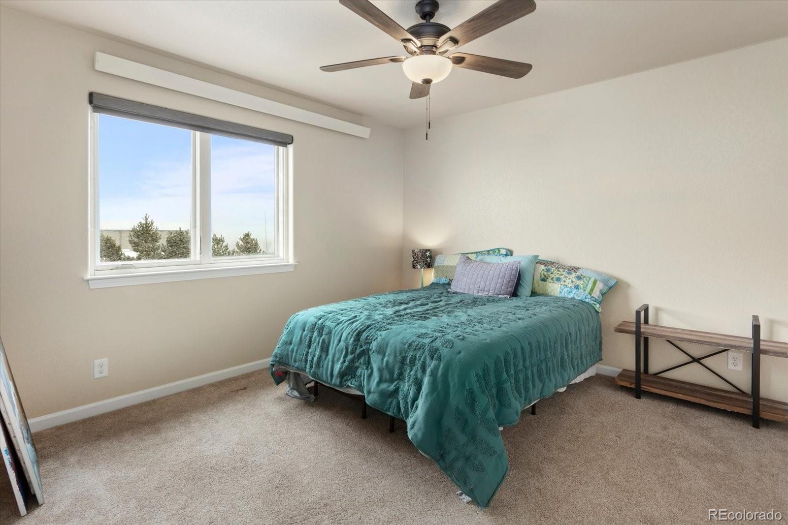 MLS Image #22 for 10433  mesa view court,poncha springs, Colorado