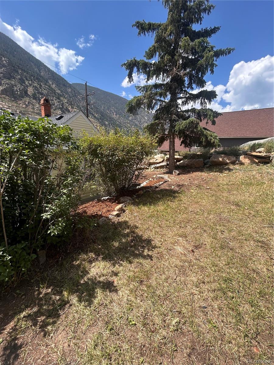 MLS Image #31 for 906  main street,georgetown, Colorado