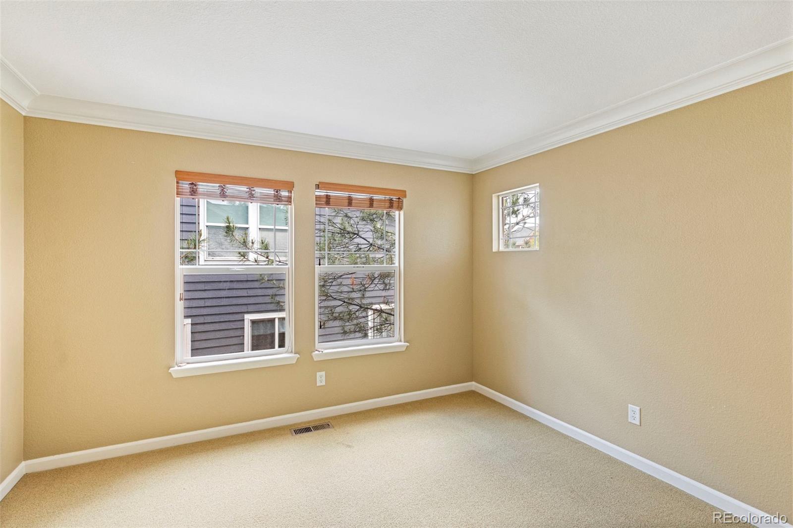MLS Image #21 for 3465  fantasy place,castle rock, Colorado