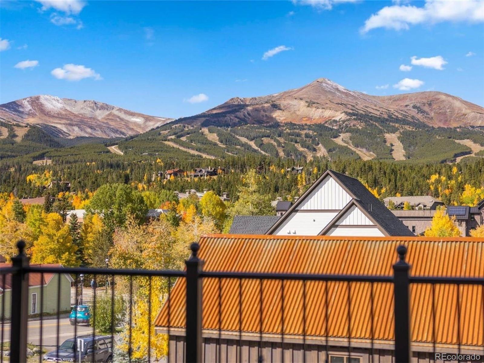 MLS Image #3 for 203 n ridge street,breckenridge, Colorado