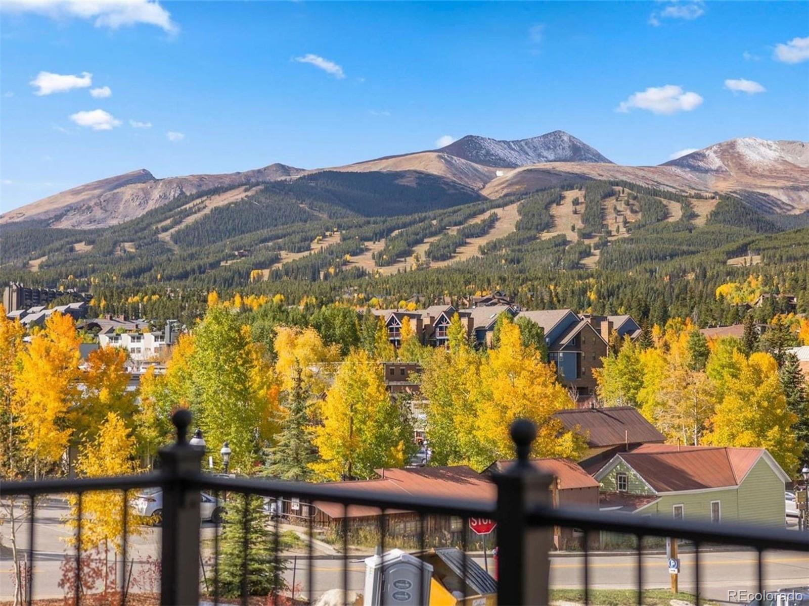 MLS Image #4 for 203 n ridge street,breckenridge, Colorado