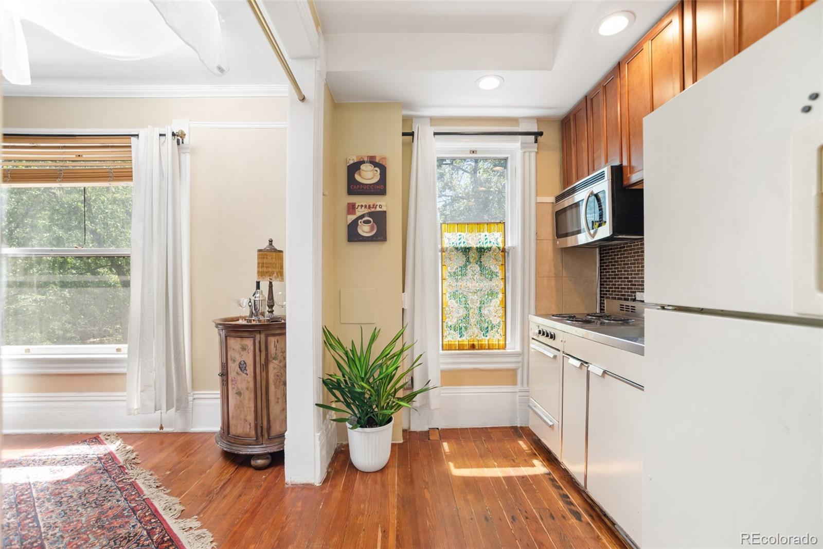 MLS Image #42 for 2623  stout street,denver, Colorado