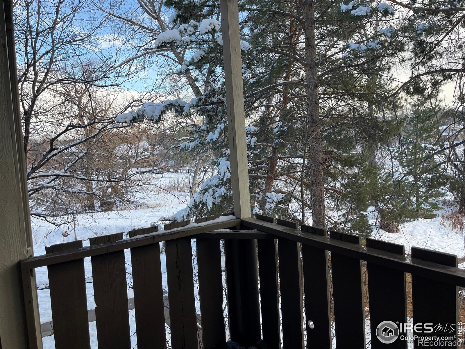 MLS Image #8 for 8060  niwot road,niwot, Colorado