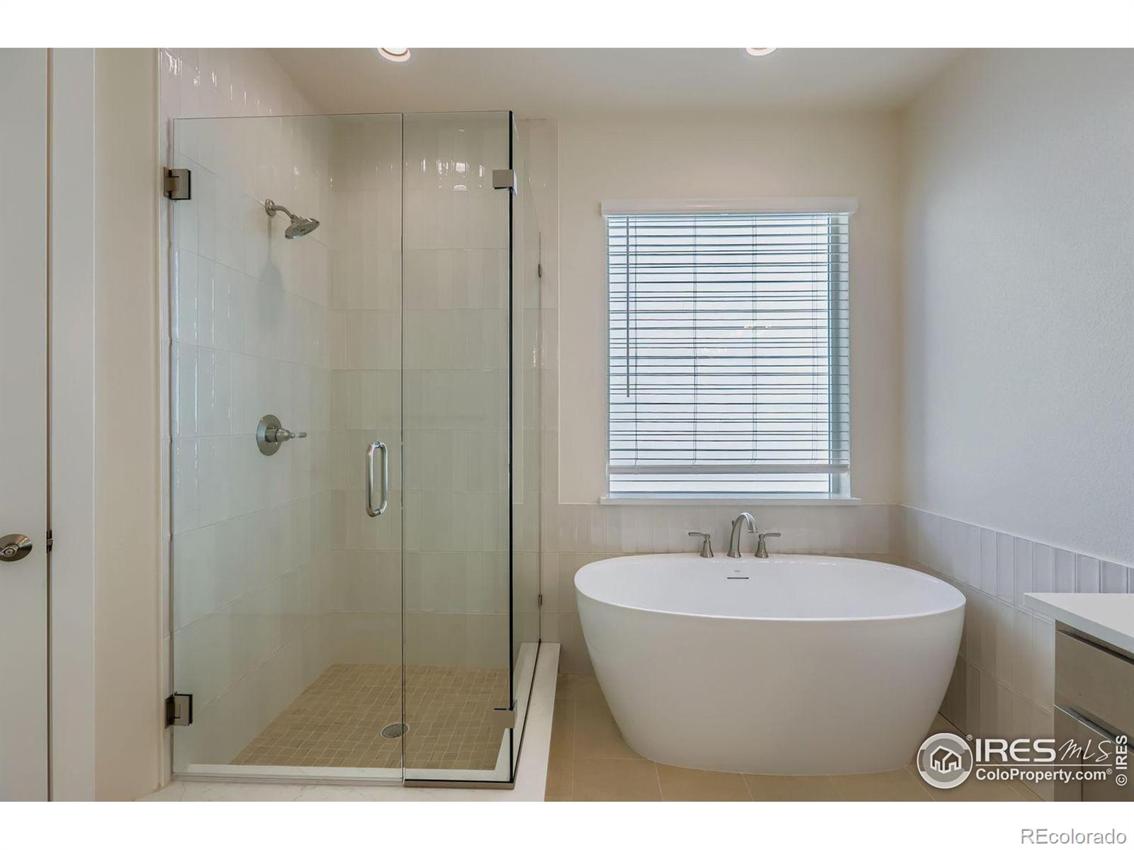 MLS Image #18 for 1829  flourish drive,windsor, Colorado