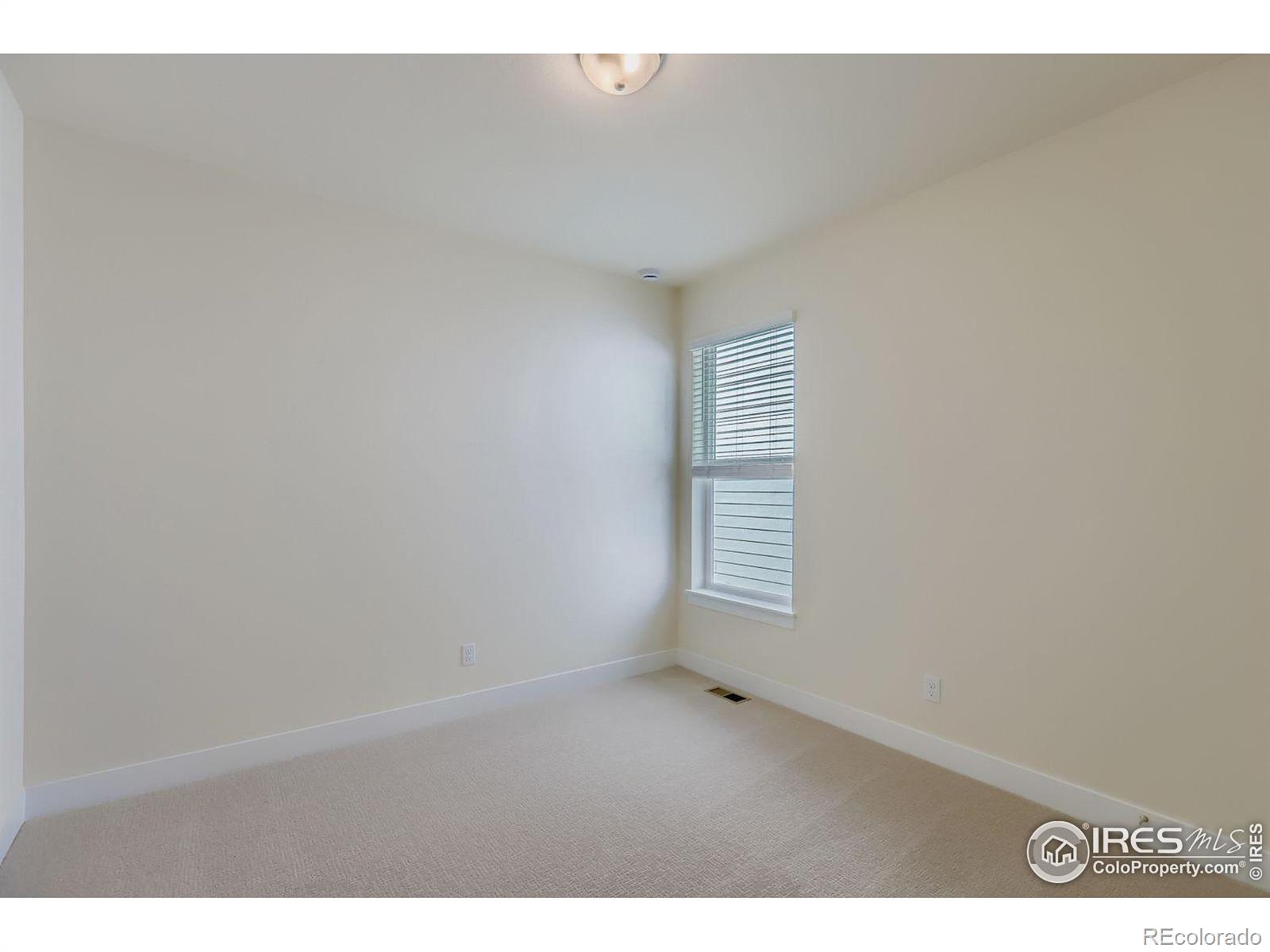 MLS Image #20 for 1829  flourish drive,windsor, Colorado
