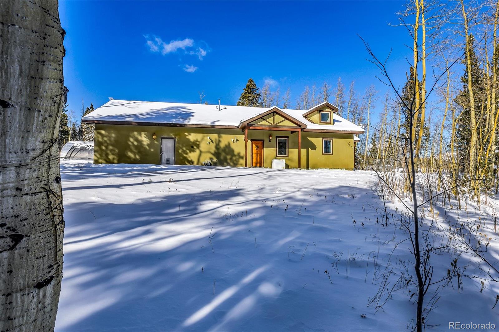 MLS Image #12 for 43  clover court,fairplay, Colorado