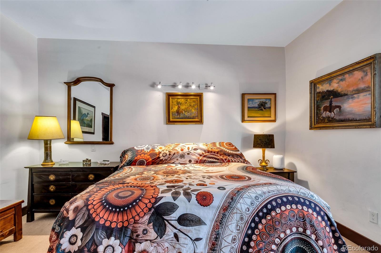 MLS Image #16 for 43  clover court,fairplay, Colorado