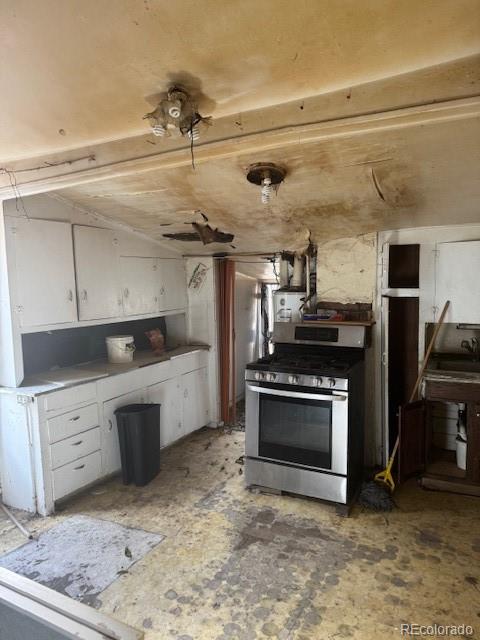 MLS Image #5 for 315 n galapago street,denver, Colorado