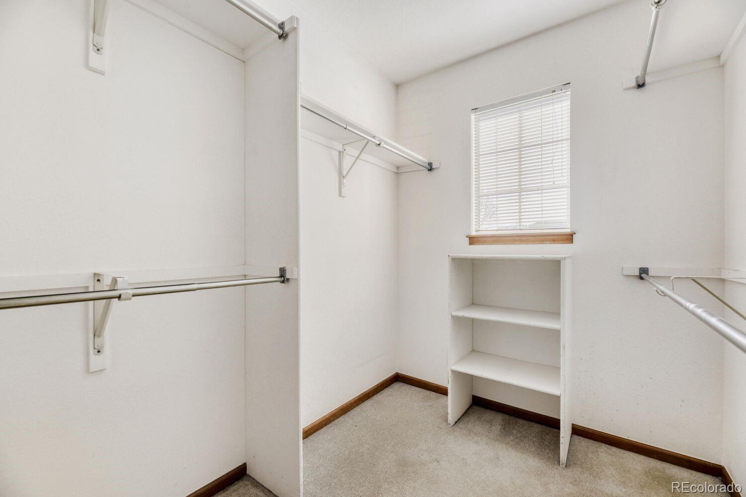 MLS Image #20 for 10791  trailrider pass,littleton, Colorado
