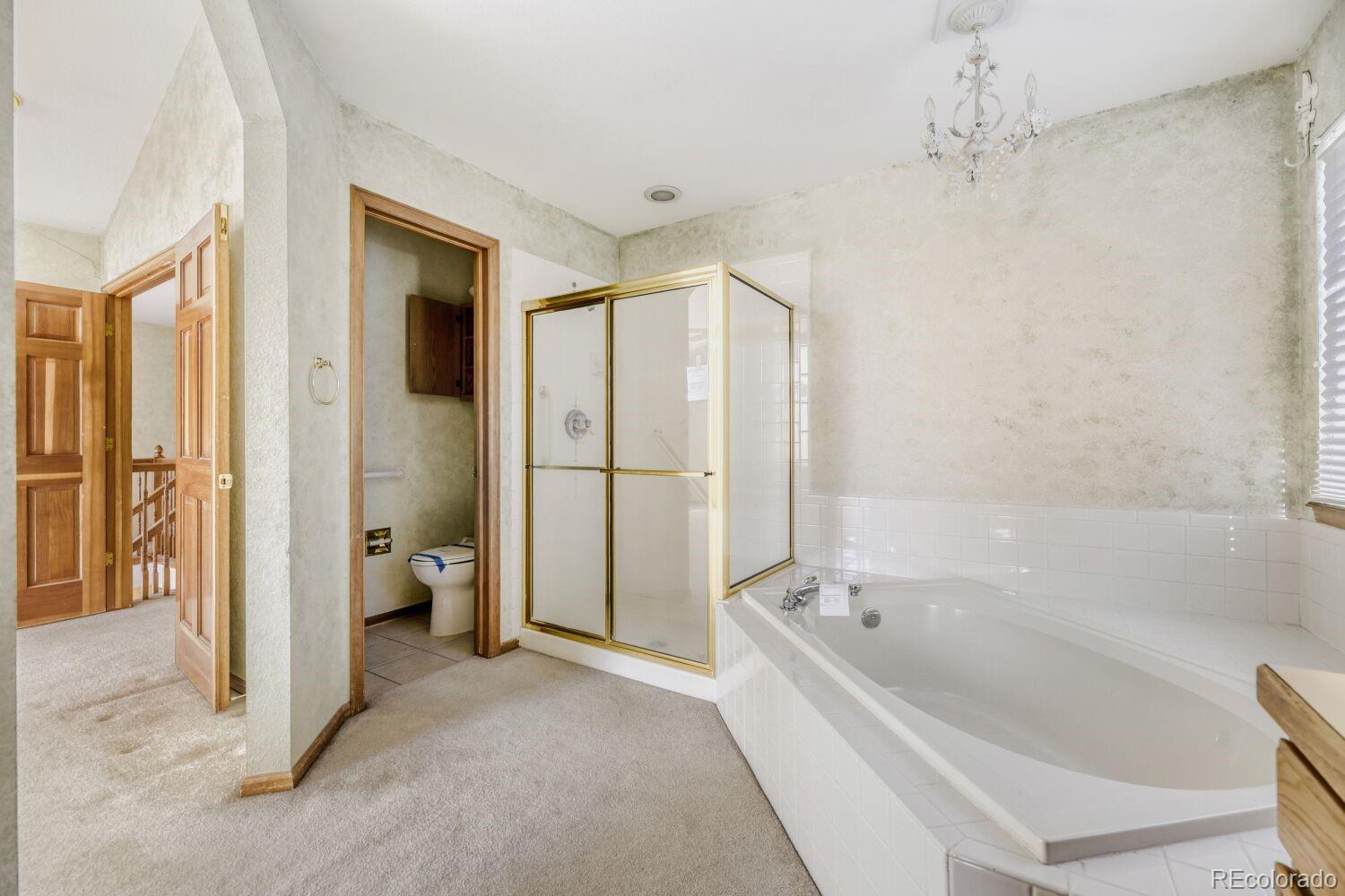 MLS Image #23 for 10791  trailrider pass,littleton, Colorado