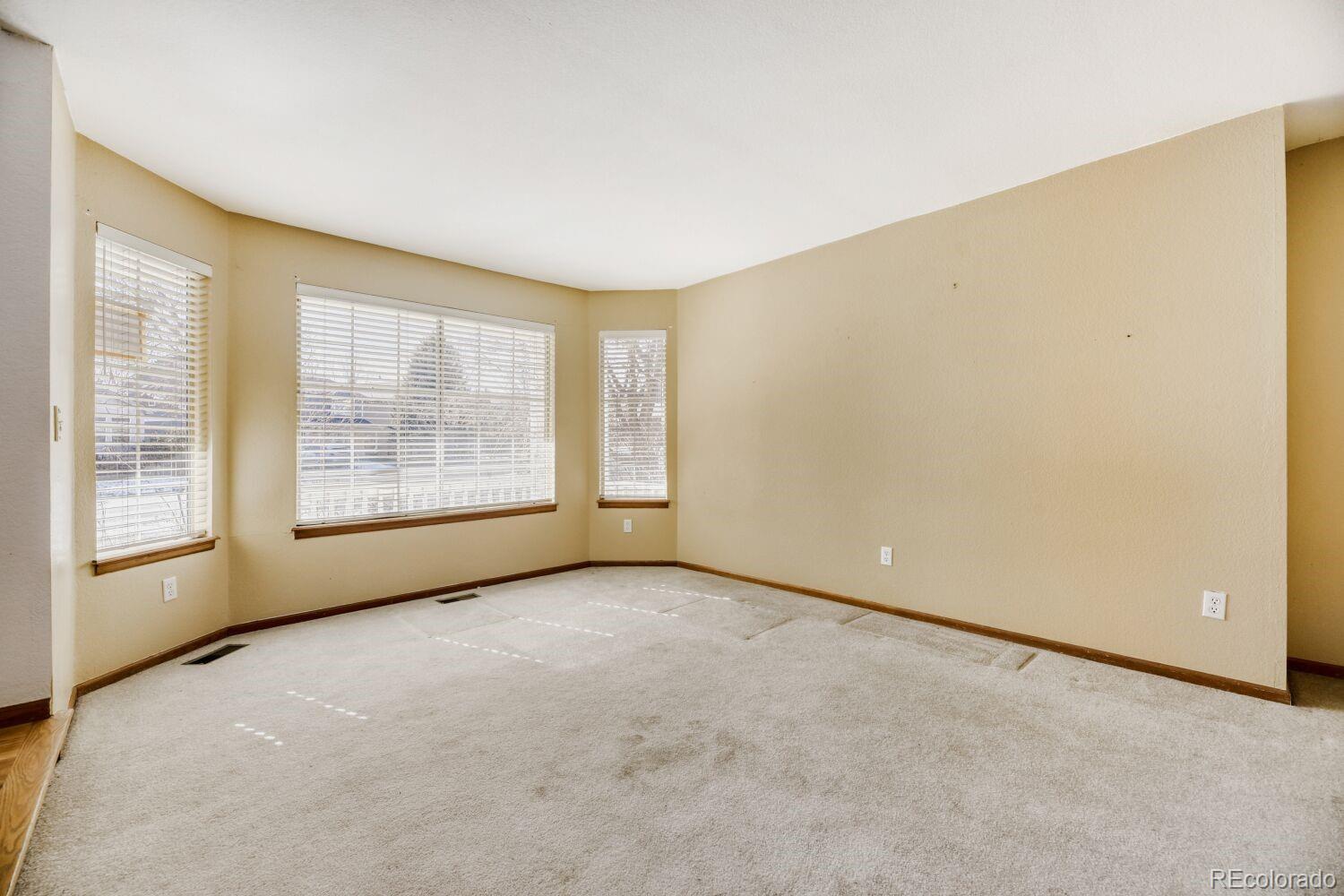 MLS Image #3 for 10791  trailrider pass,littleton, Colorado