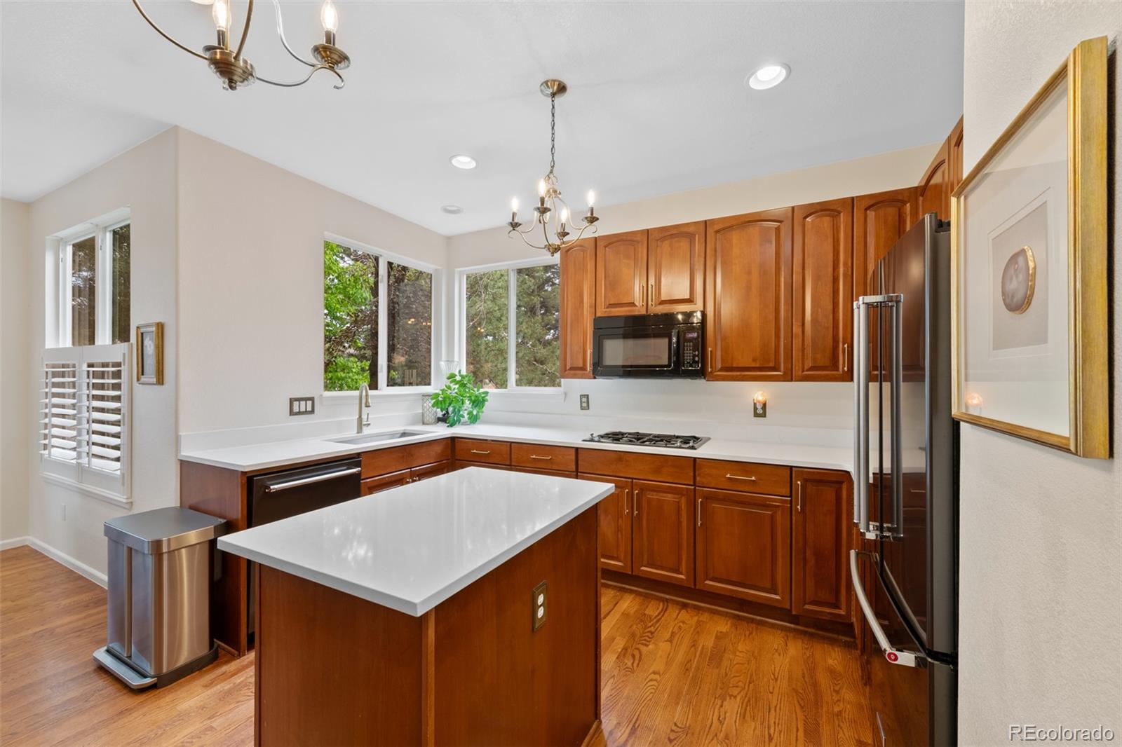 MLS Image #10 for 7638 s hudson way,centennial, Colorado