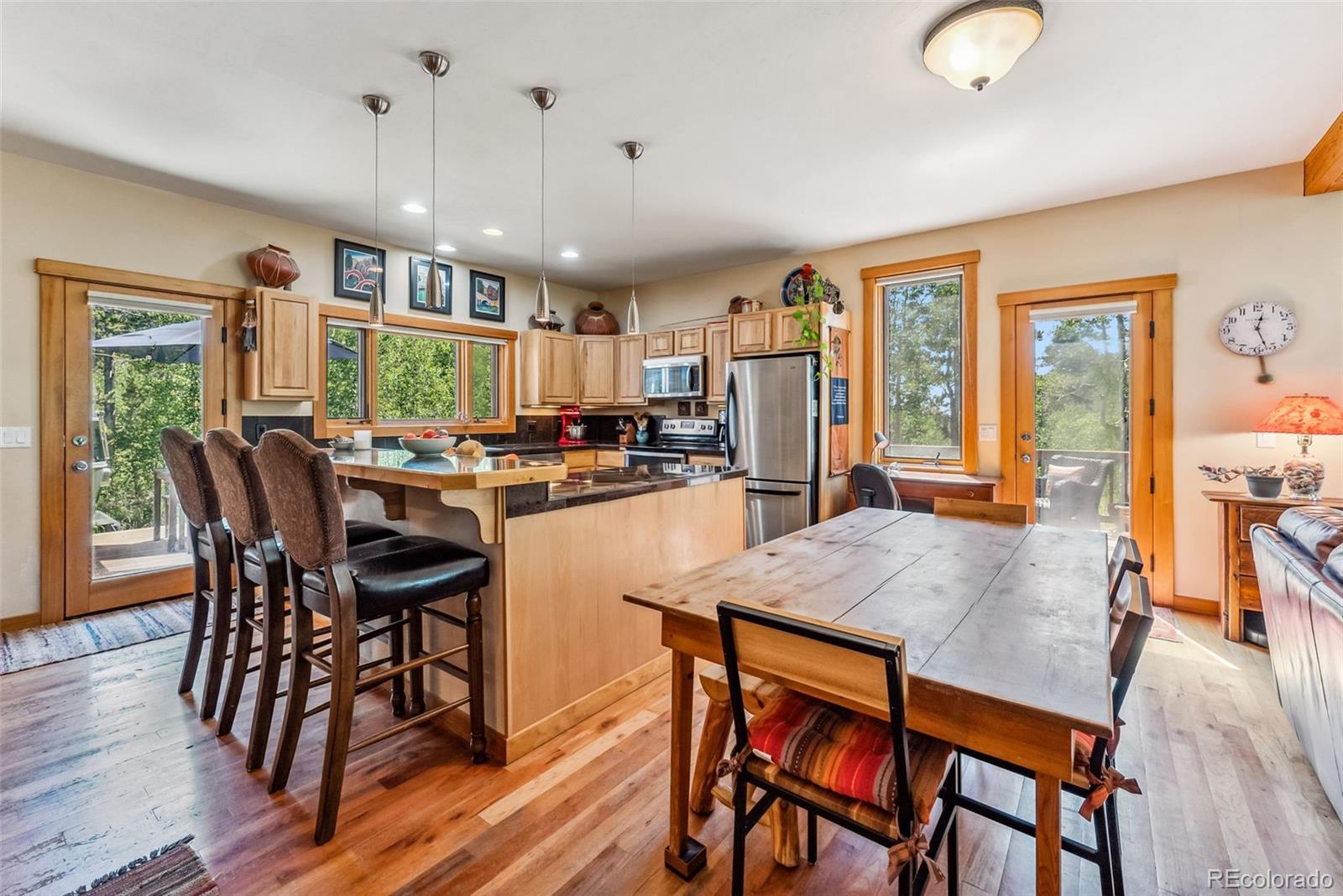 MLS Image #10 for 228  glacier ridge road,alma, Colorado