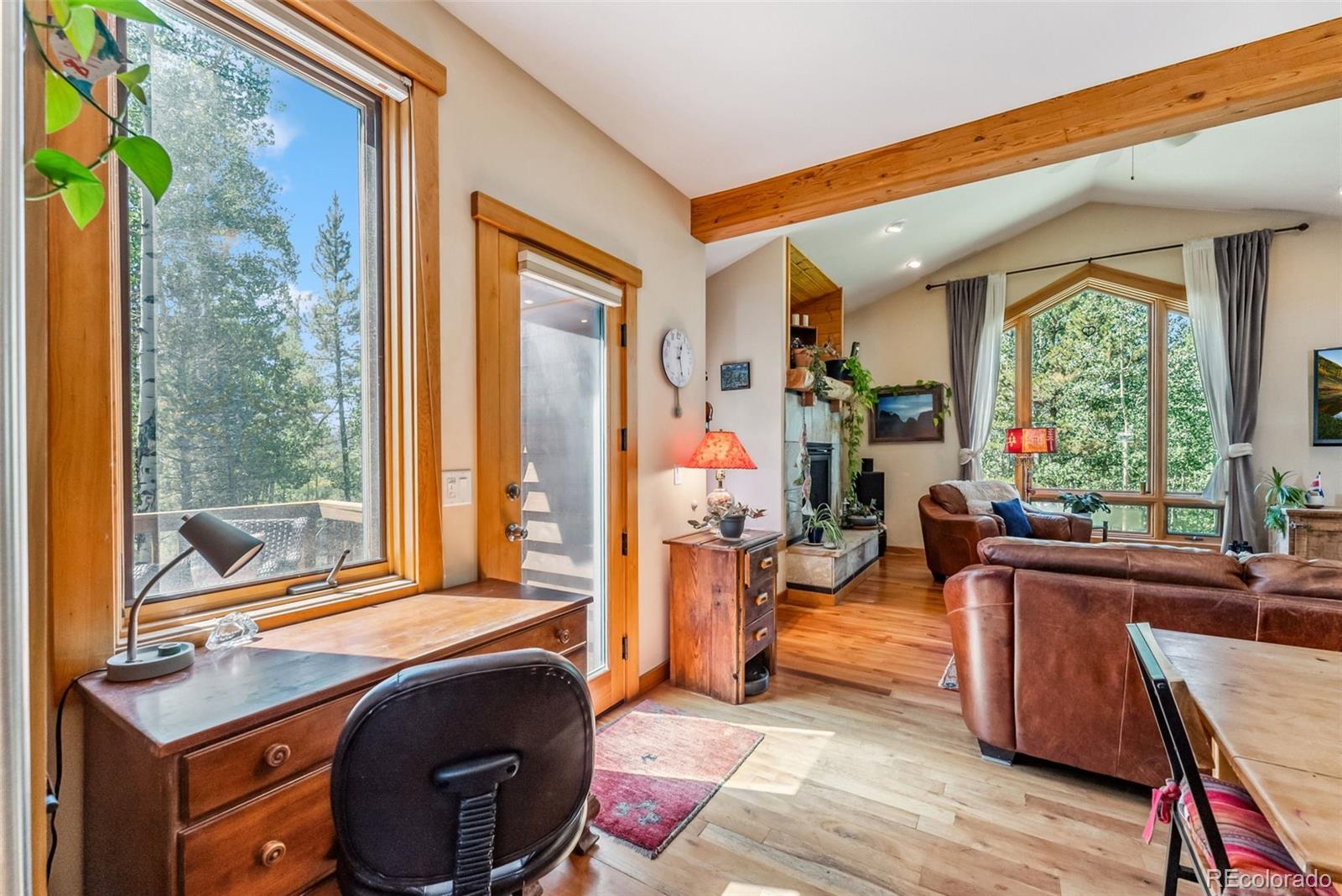 MLS Image #11 for 228  glacier ridge road,alma, Colorado