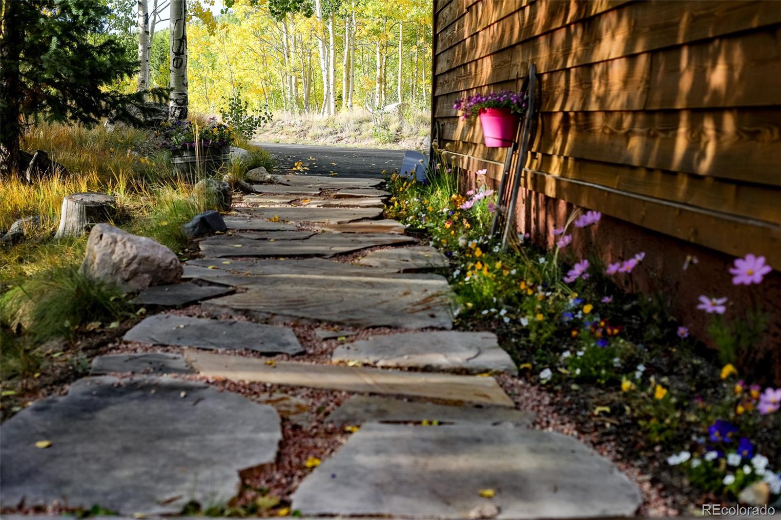 MLS Image #13 for 228  glacier ridge road,alma, Colorado