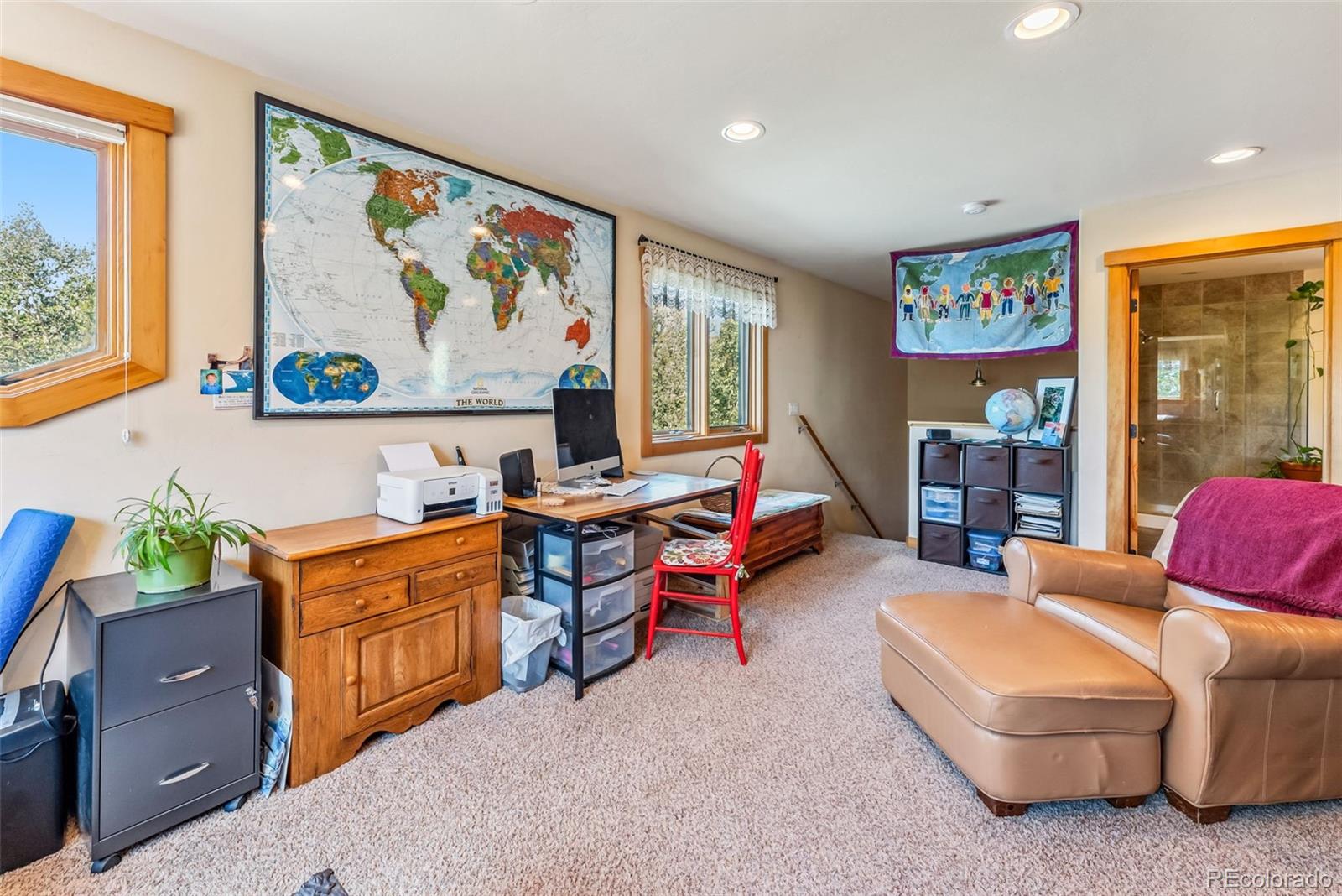 MLS Image #17 for 228  glacier ridge road,alma, Colorado