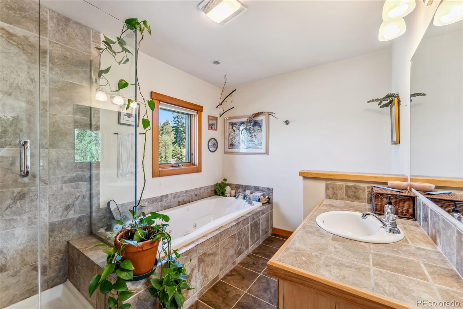 MLS Image #18 for 228  glacier ridge road,alma, Colorado