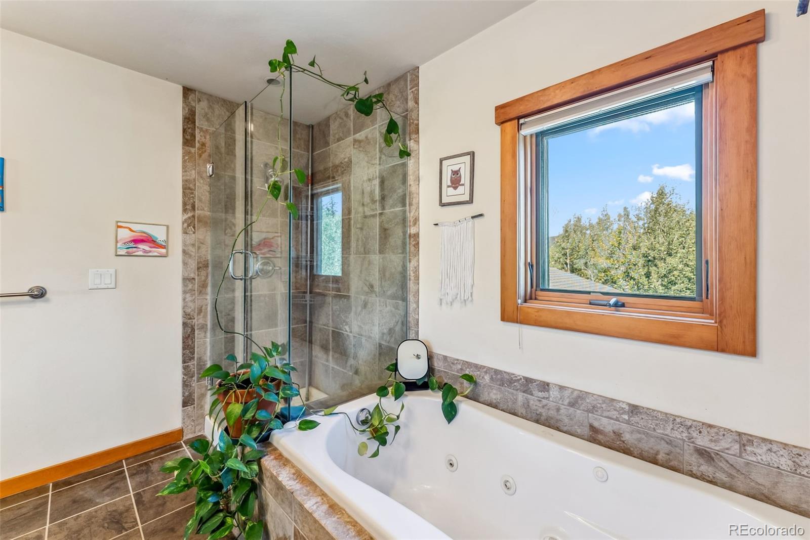 MLS Image #19 for 228  glacier ridge road,alma, Colorado
