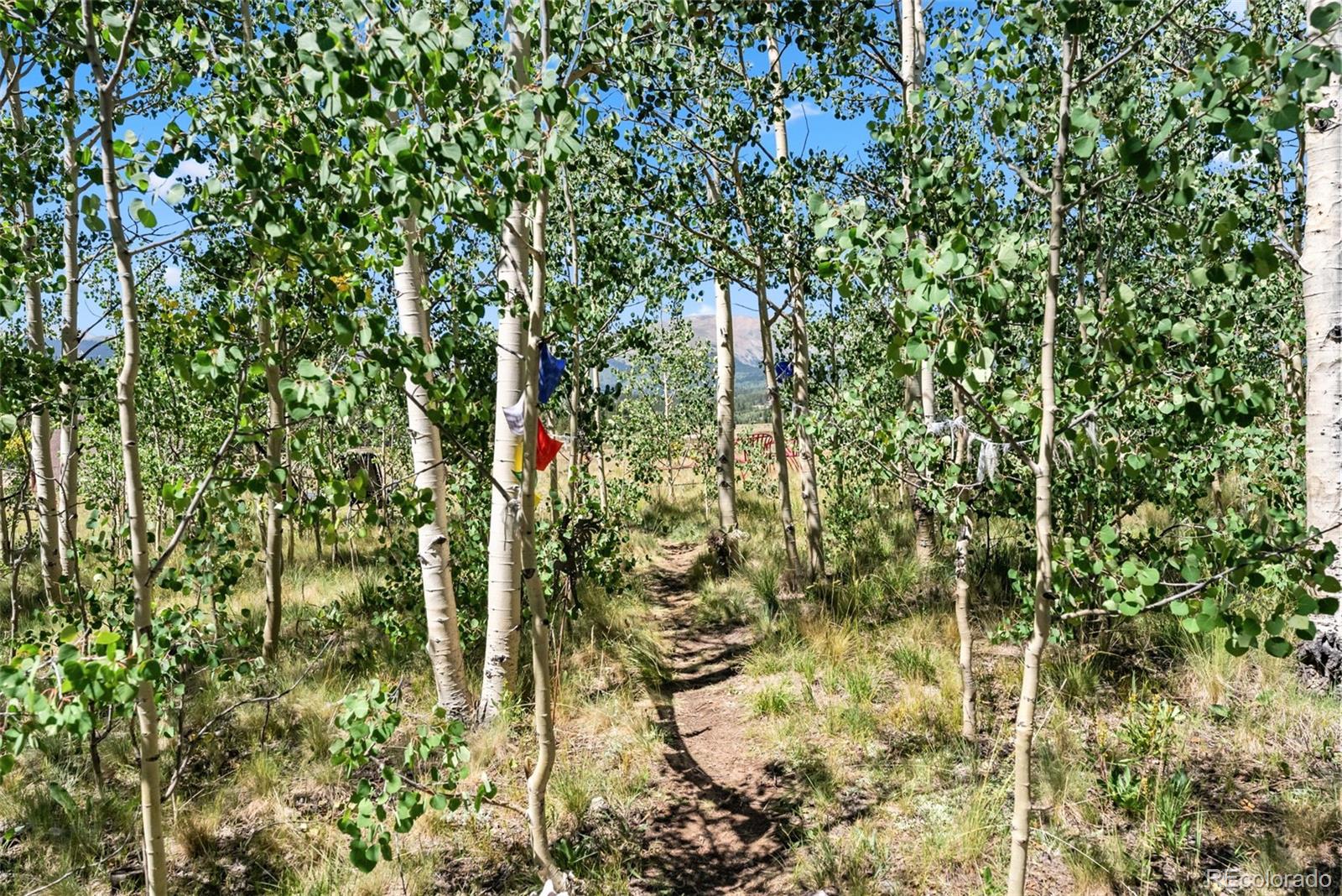 MLS Image #20 for 228  glacier ridge road,alma, Colorado