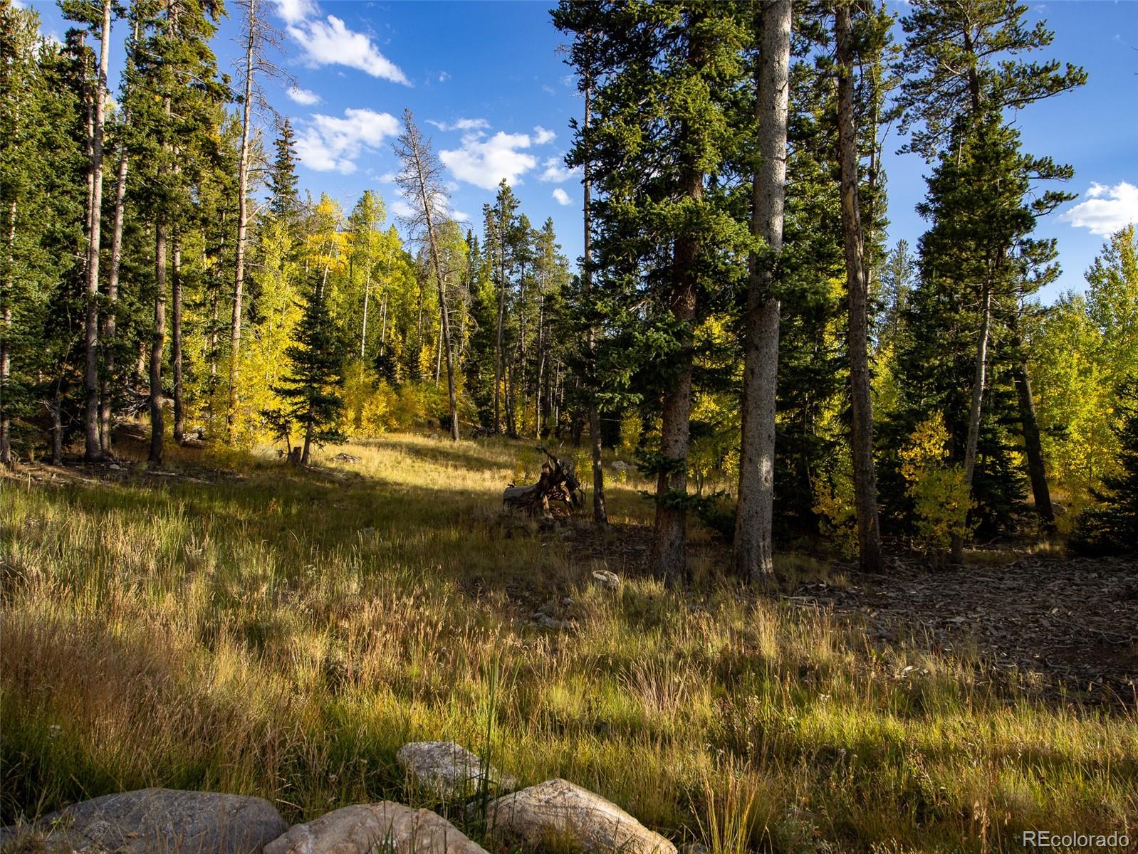 MLS Image #22 for 228  glacier ridge road,alma, Colorado