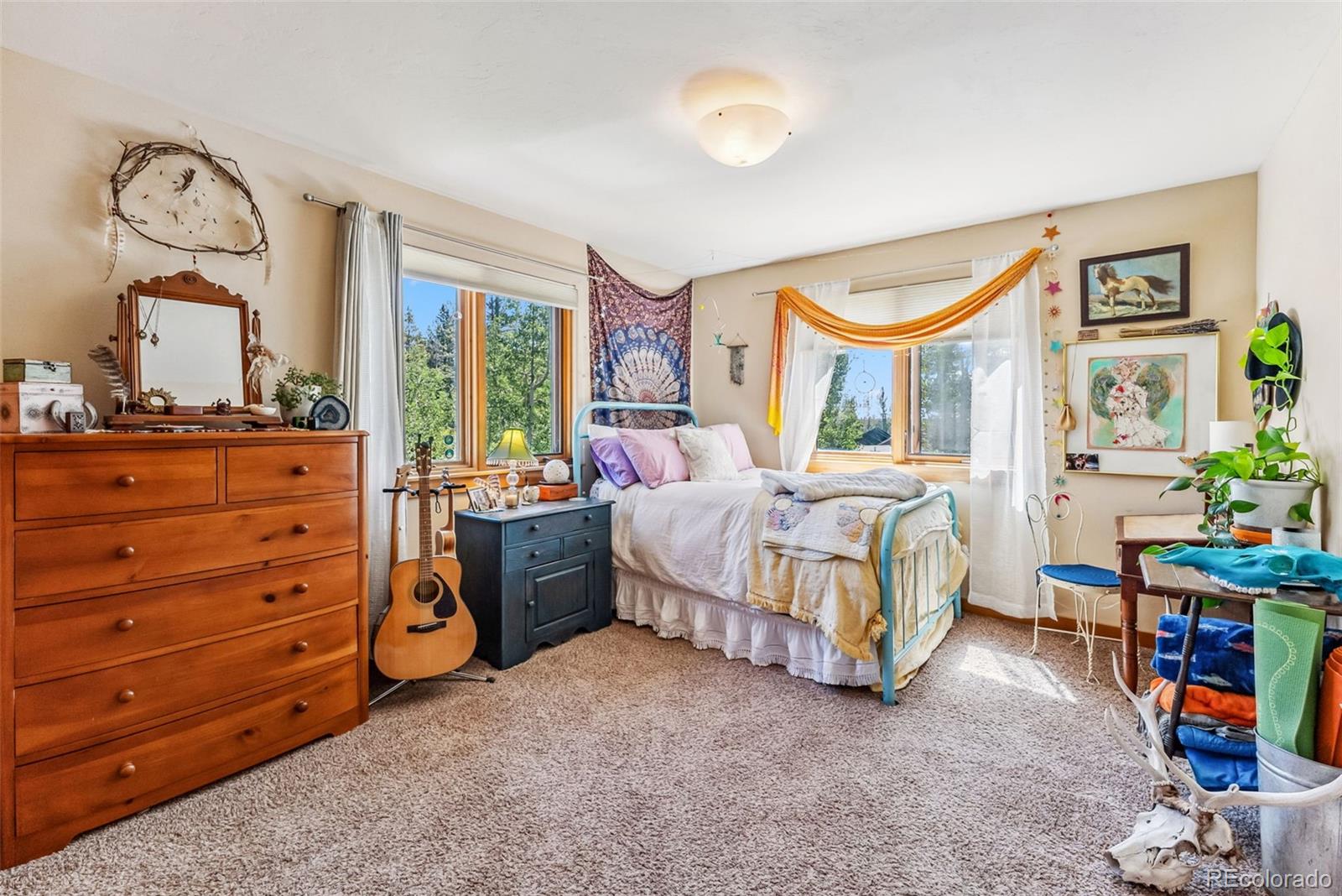 MLS Image #23 for 228  glacier ridge road,alma, Colorado