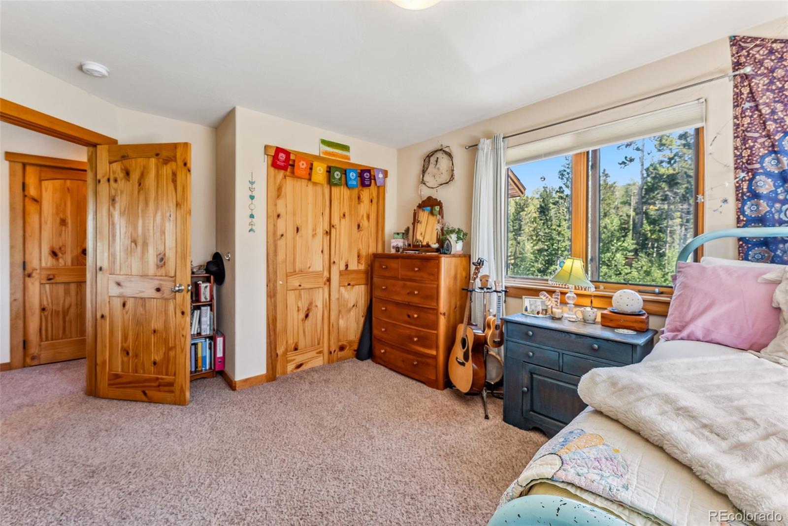 MLS Image #25 for 228  glacier ridge road,alma, Colorado
