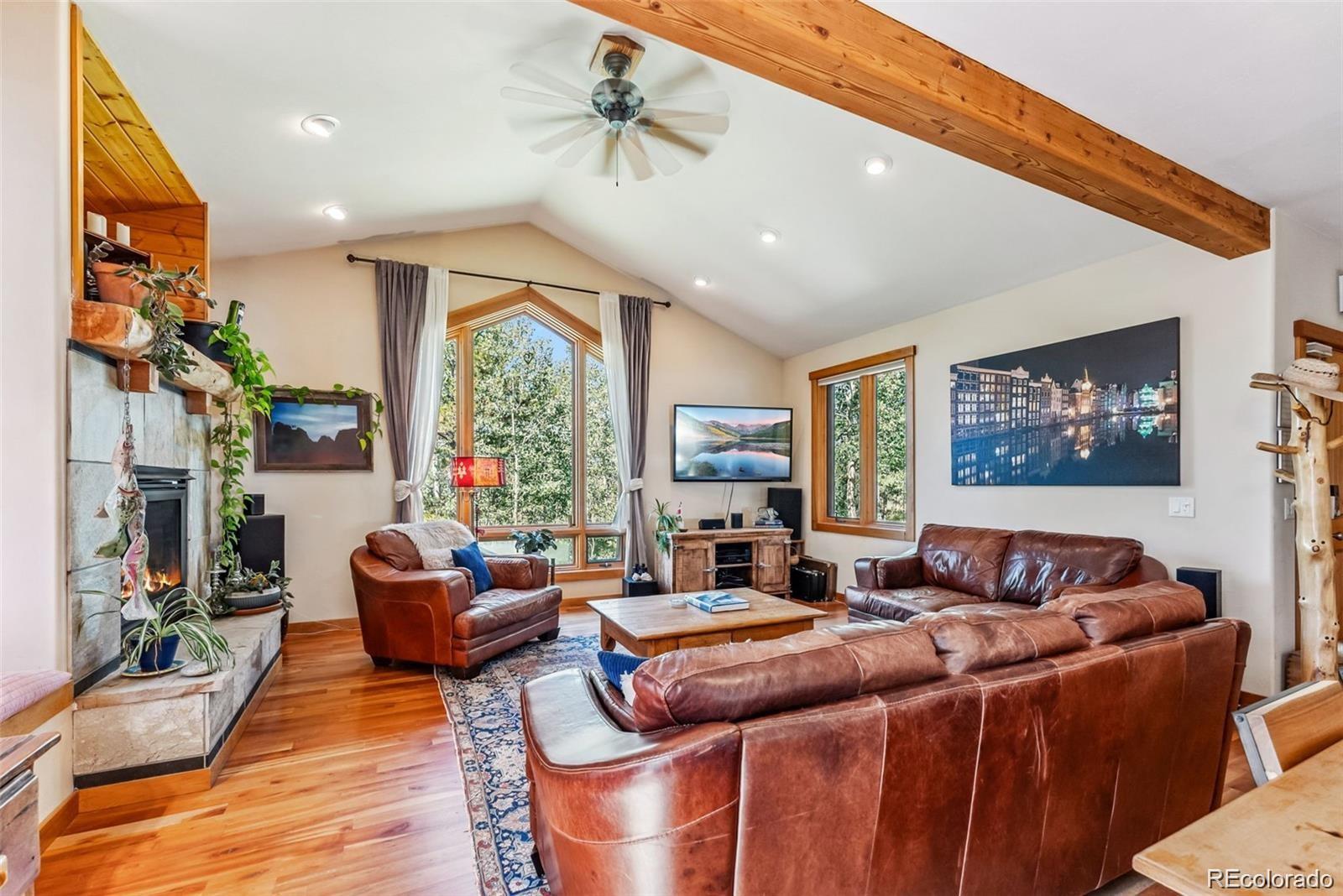 MLS Image #3 for 228  glacier ridge road,alma, Colorado