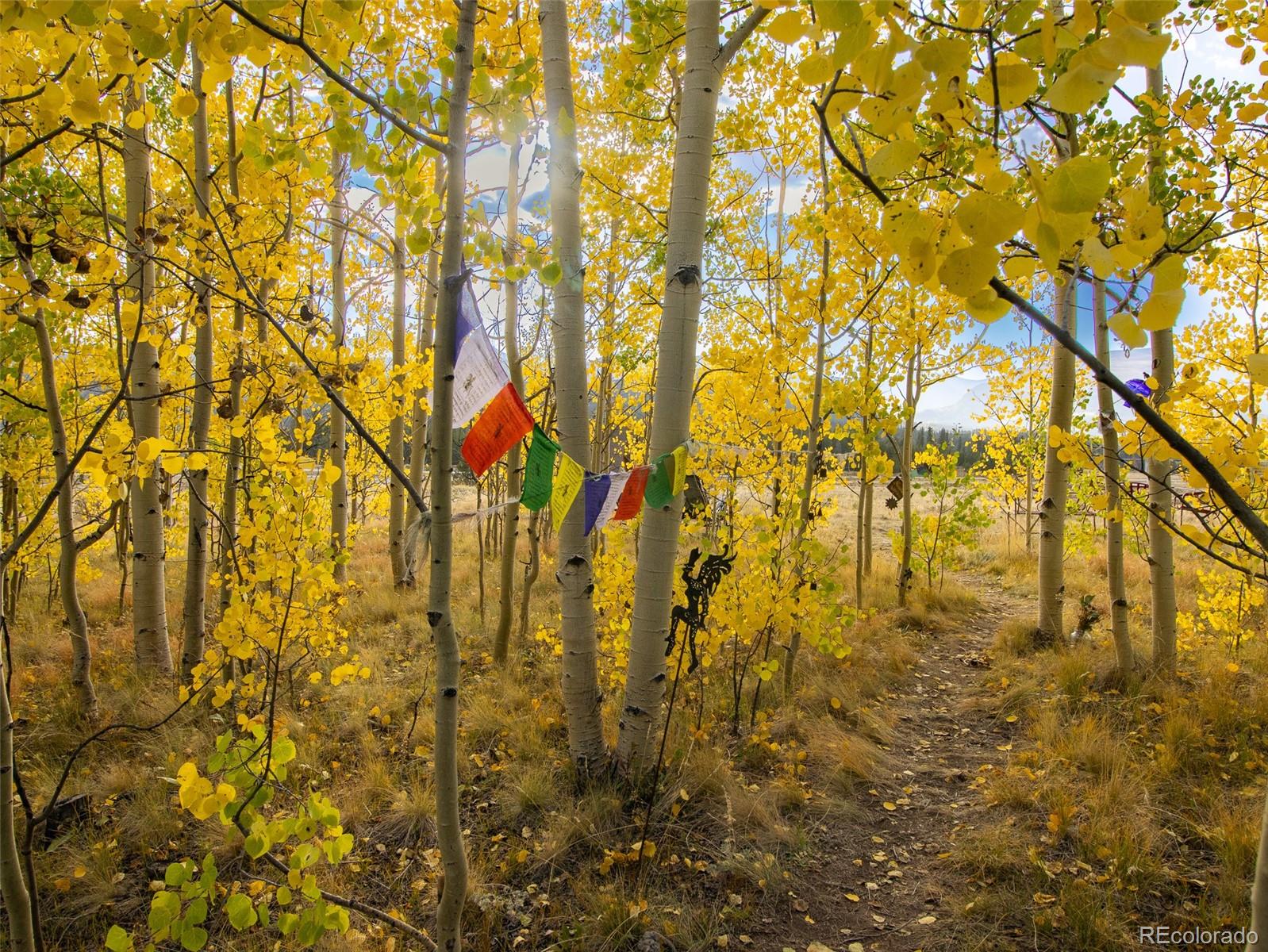 MLS Image #38 for 228  glacier ridge road,alma, Colorado