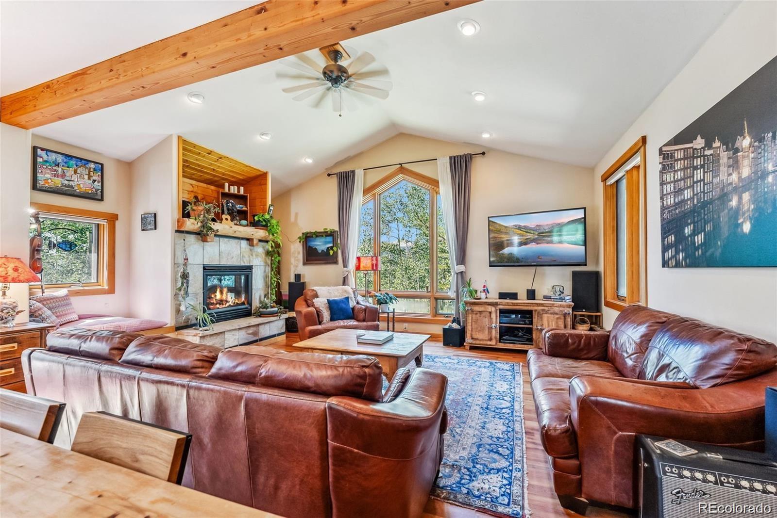 MLS Image #4 for 228  glacier ridge road,alma, Colorado