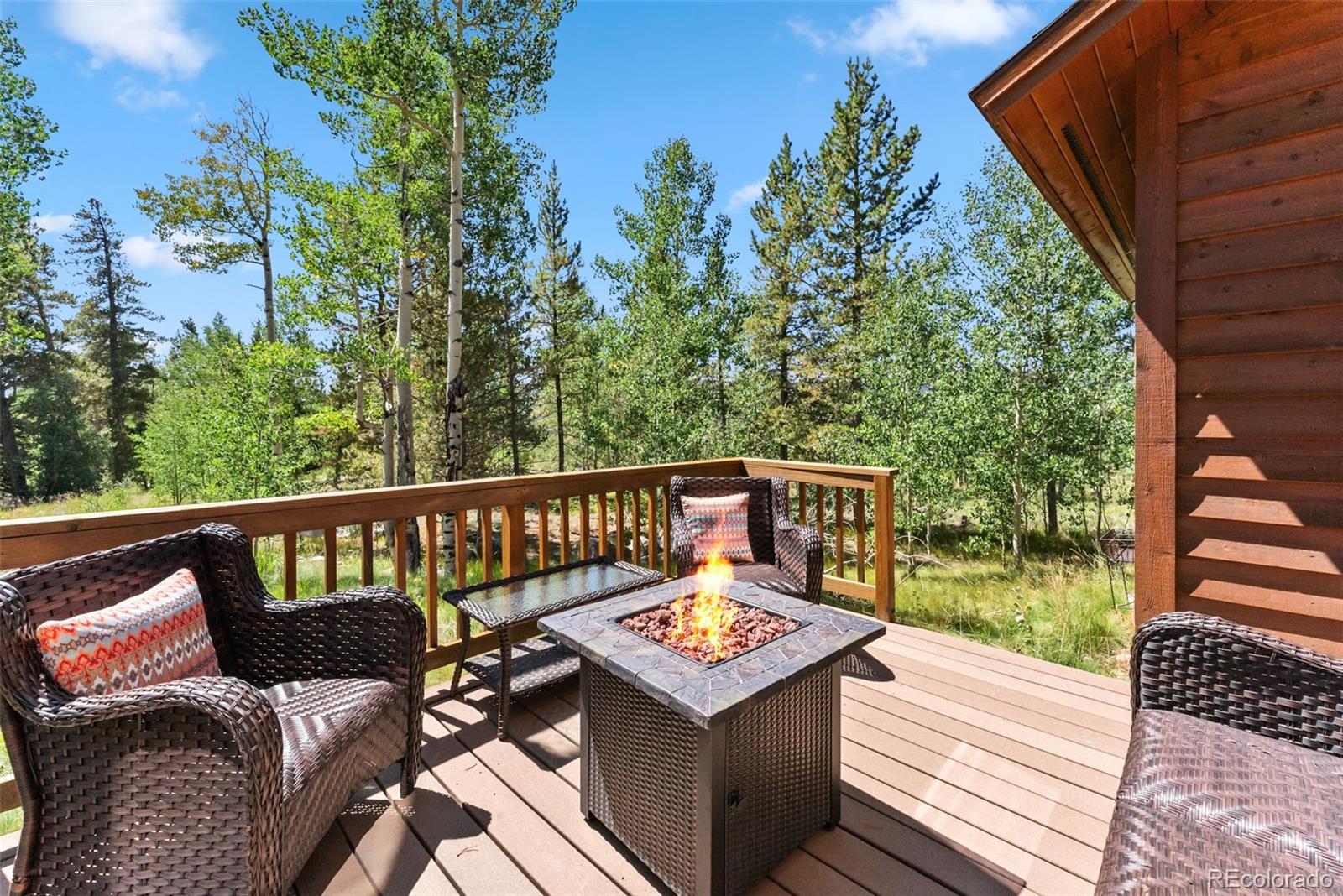 MLS Image #40 for 228  glacier ridge road,alma, Colorado
