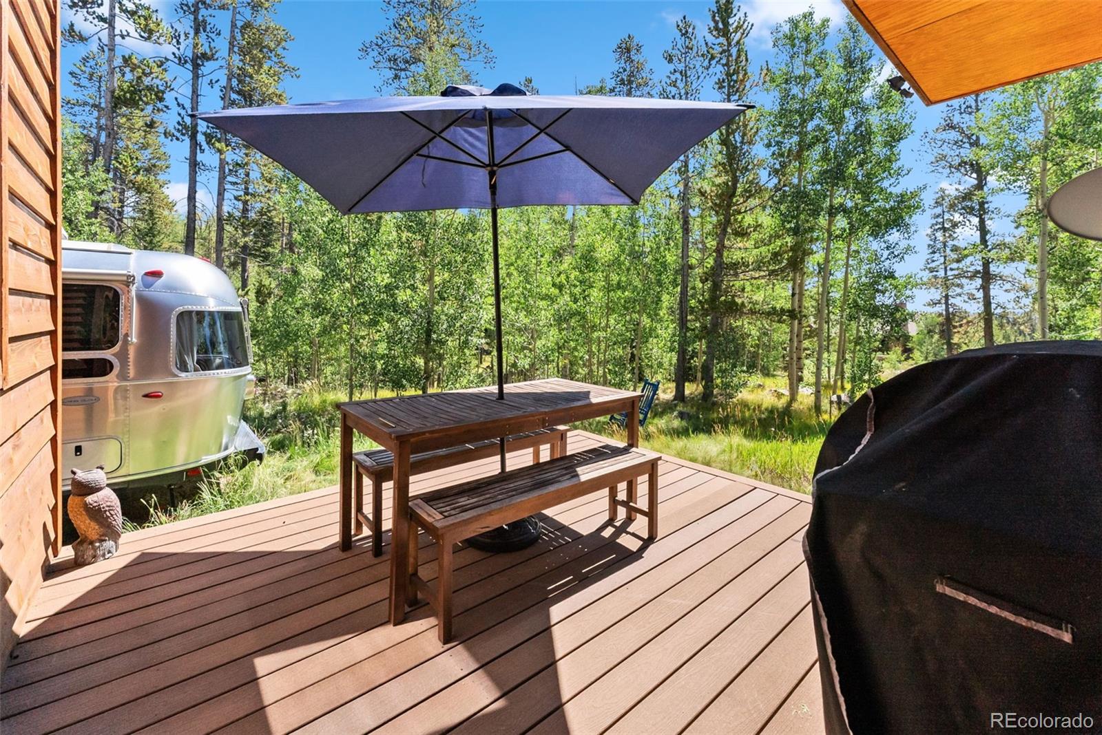 MLS Image #44 for 228  glacier ridge road,alma, Colorado