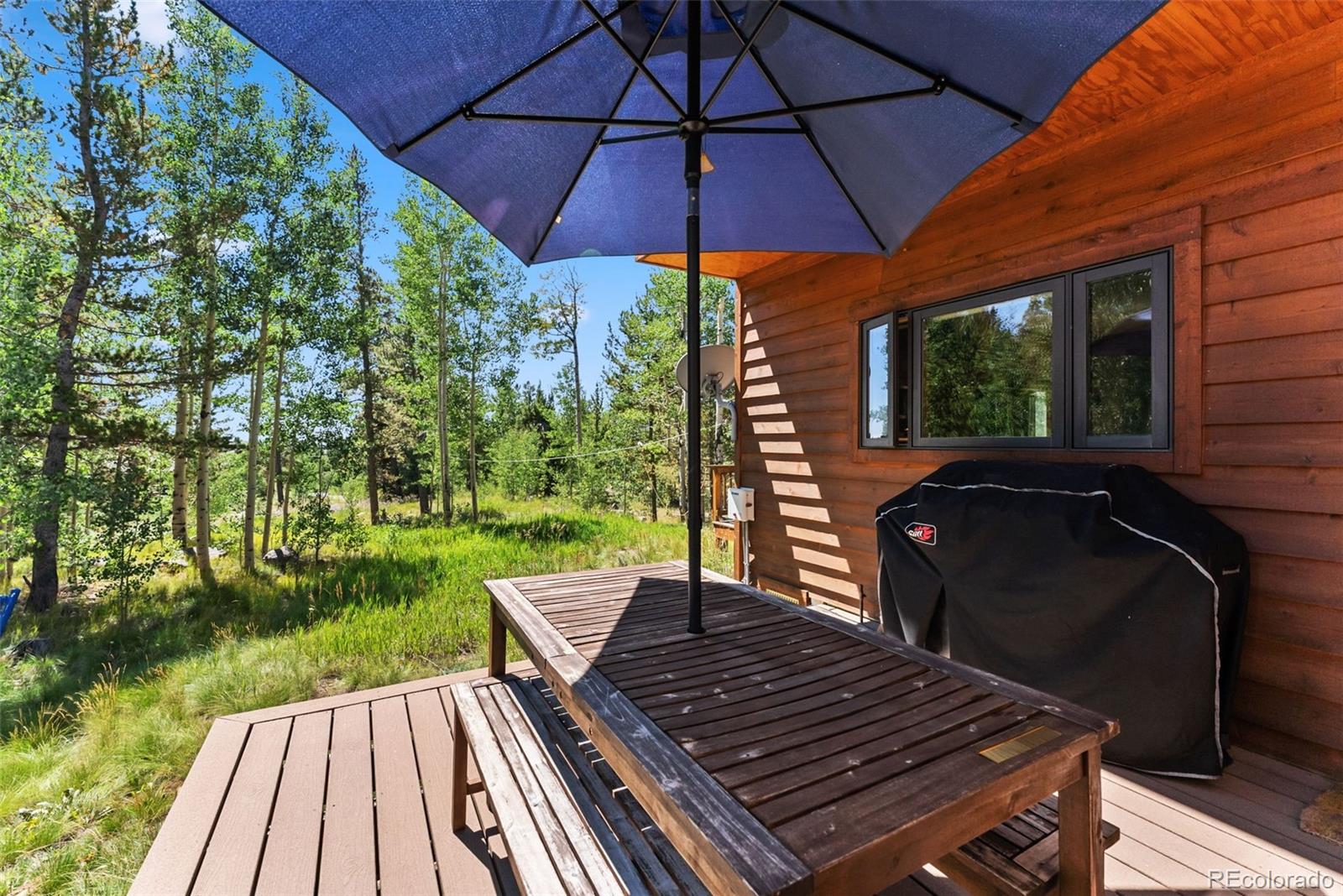 MLS Image #48 for 228  glacier ridge road,alma, Colorado