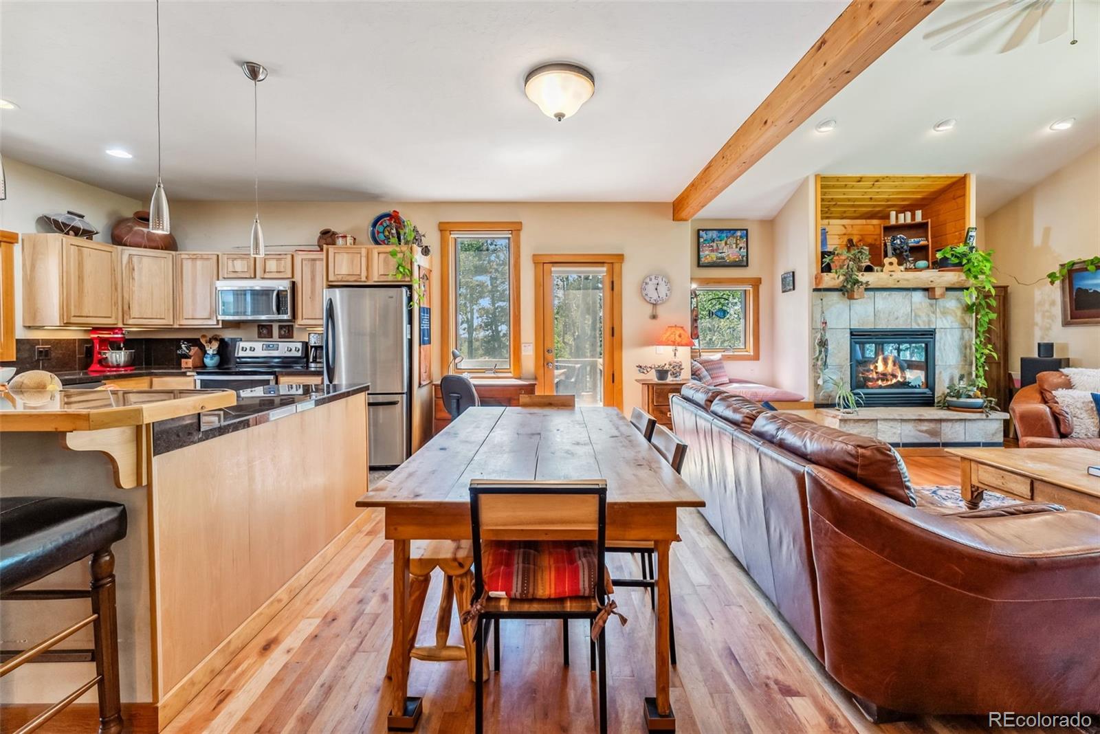 MLS Image #5 for 228  glacier ridge road,alma, Colorado