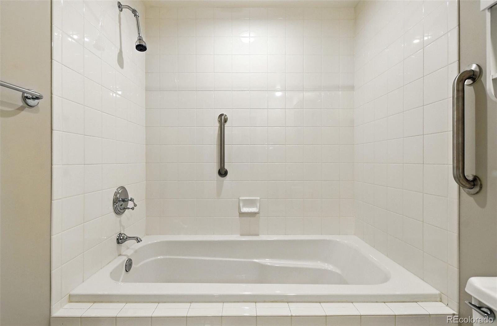 MLS Image #22 for 1631 n emerson street,denver, Colorado