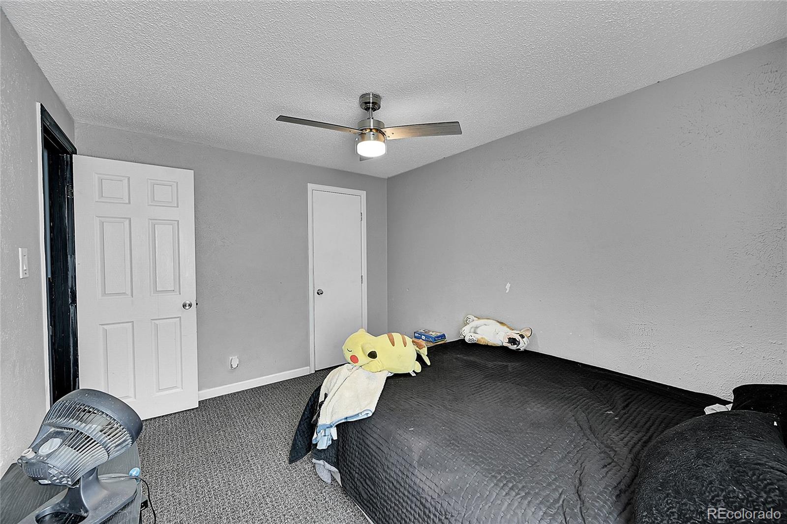 MLS Image #10 for 204  zante street,lochbuie, Colorado