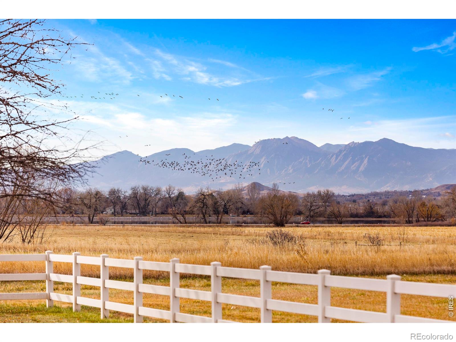 MLS Image #4 for 13155 n 75th street,longmont, Colorado