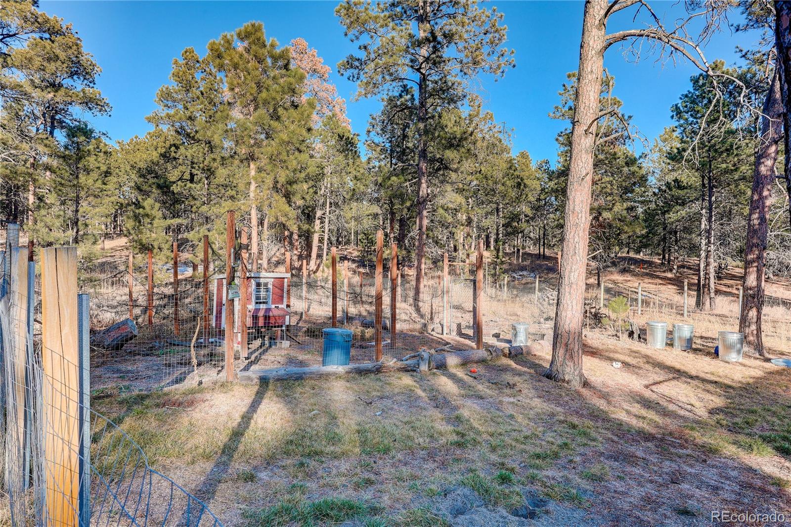 MLS Image #40 for 9920  hodgen road,colorado springs, Colorado