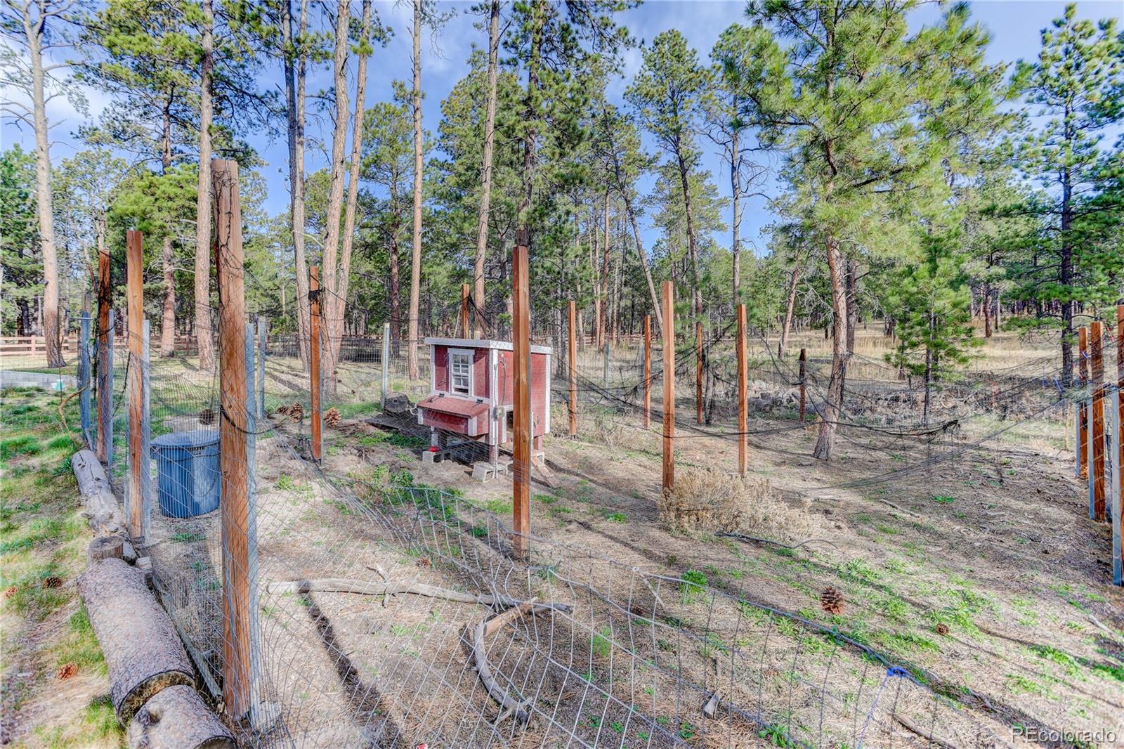 MLS Image #48 for 9920  hodgen road,colorado springs, Colorado