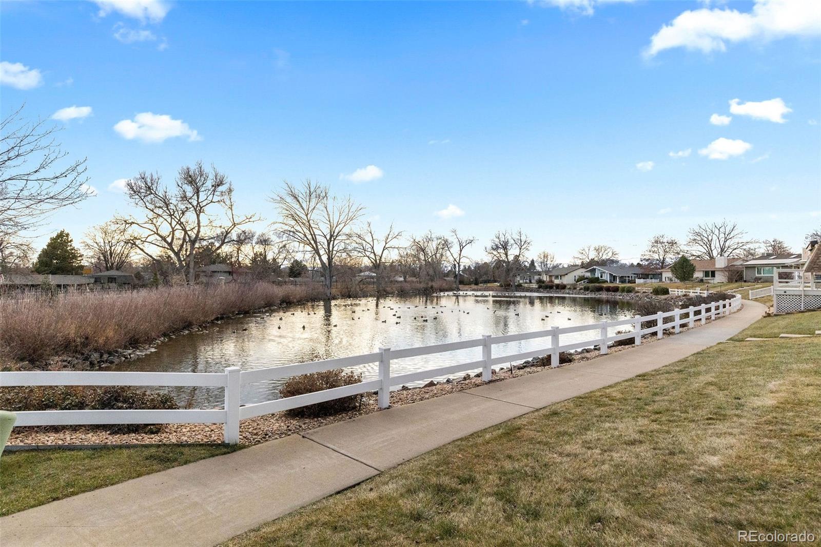 MLS Image #23 for 49  curtis court,broomfield, Colorado