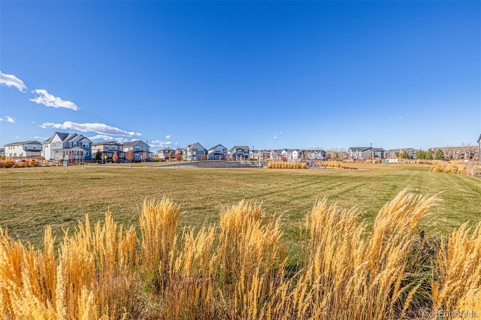 MLS Image #32 for 2899 e 103rd drive,thornton, Colorado