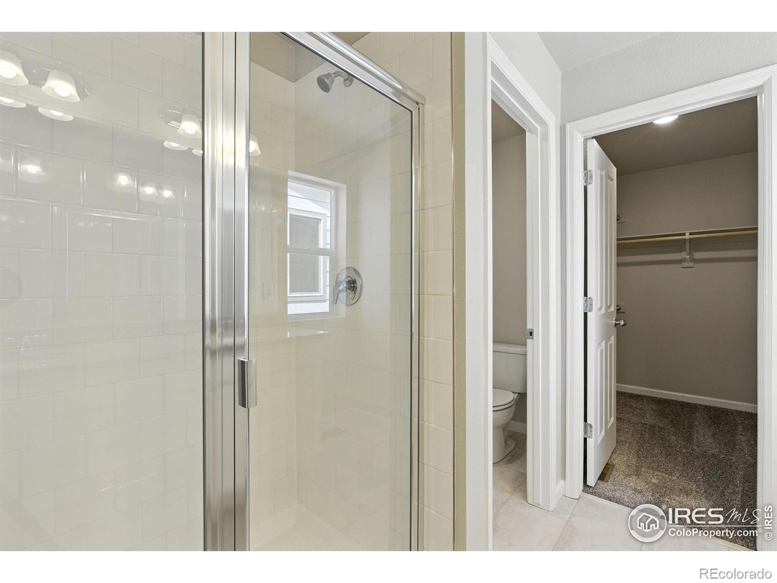 MLS Image #20 for 309  scaup lane,johnstown, Colorado