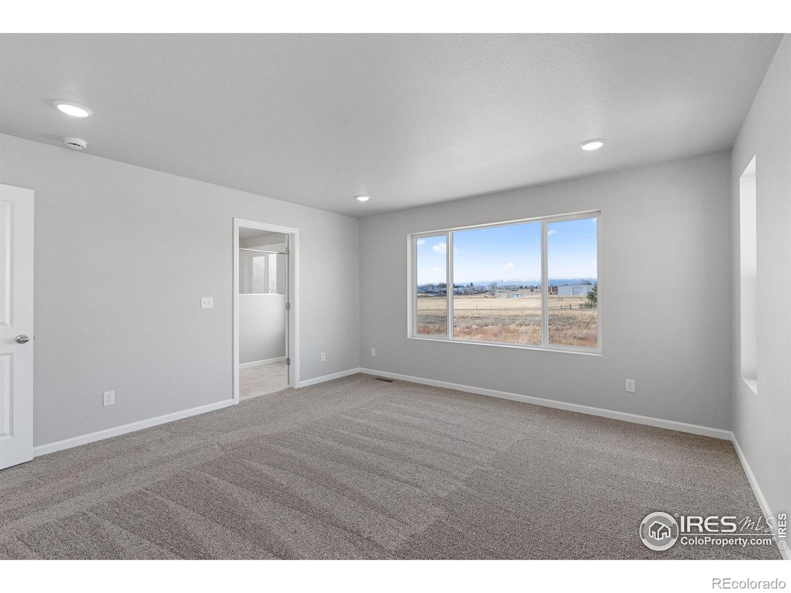 MLS Image #12 for 16953  ballinger circle,mead, Colorado