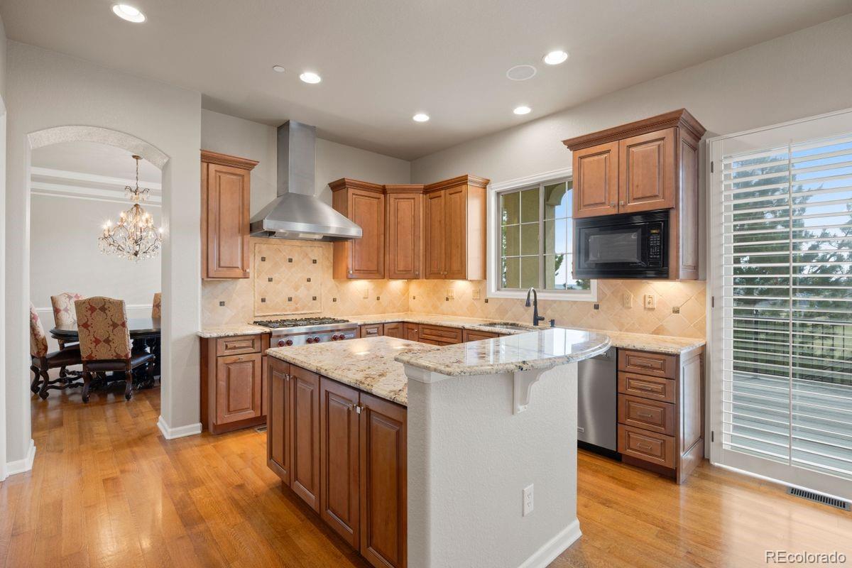 MLS Image #14 for 6258  oxford peak court,castle rock, Colorado
